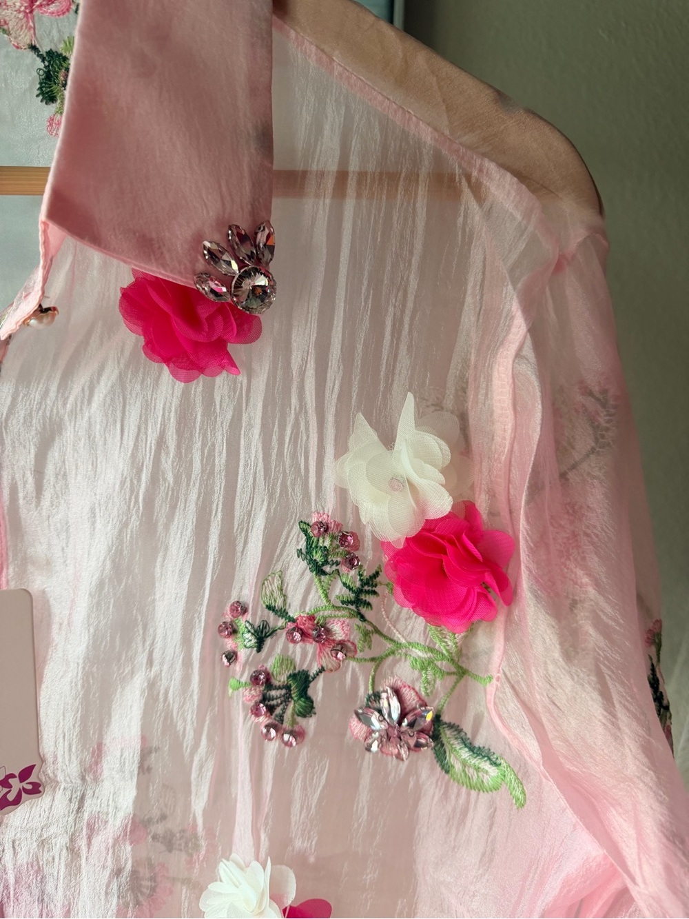NWT KEBUNUO Pink Sheer Floral Embroidered 3D Appliqué Button-Up Blouse OS - Picture 4 of 12